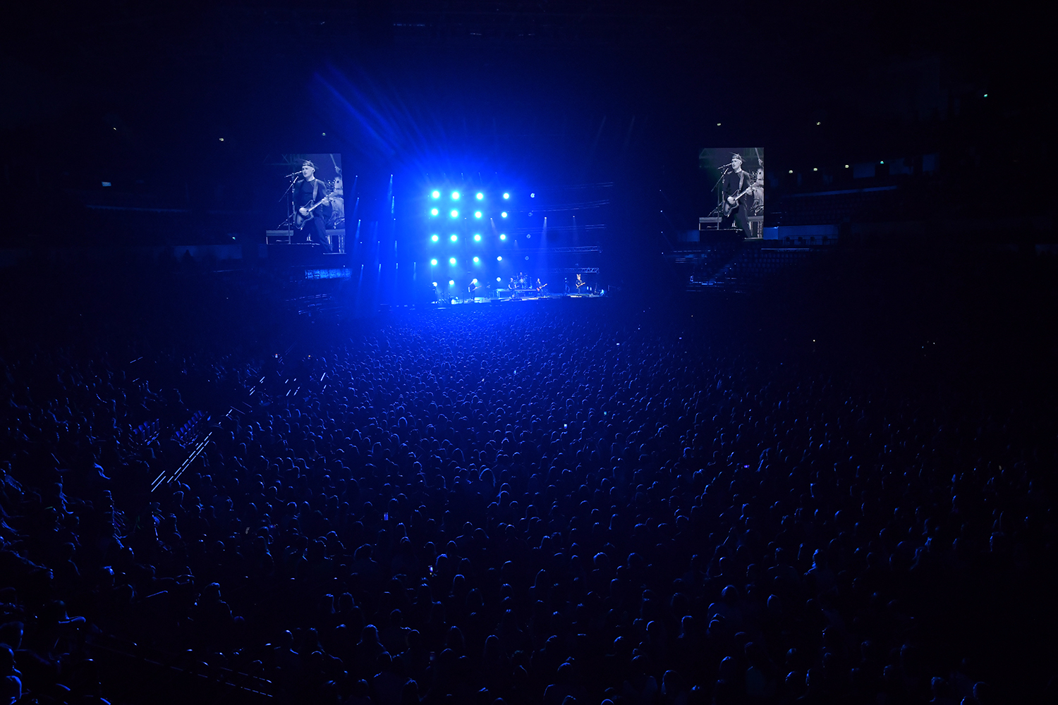 gallery-photo